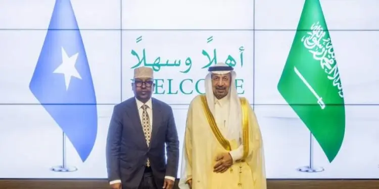 FM meets Minister of Investment of Saudi Arabia