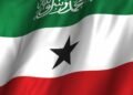 Somaliland: November 13 2024 Elections