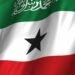 Somaliland: November 13 2024 Elections