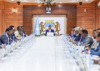Somali cabinet