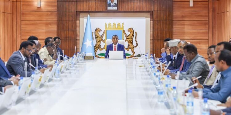 Somali cabinet