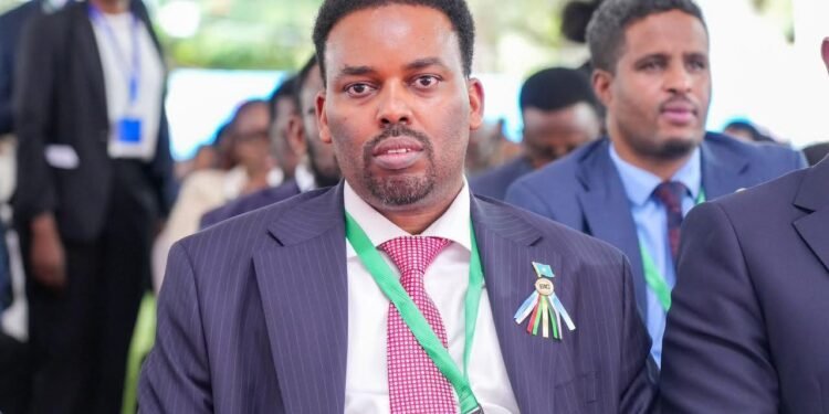 Somalia ambassador Tanzania