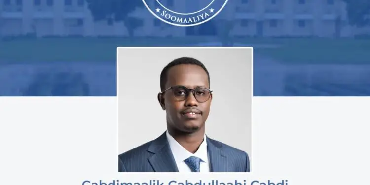 Somalia National Security Director Appointment