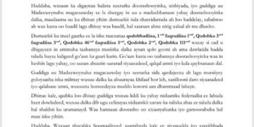 Somalia's opposition