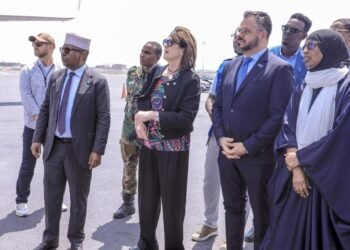 Somalia foreign minister