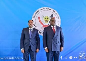 Somali Ambassador to Congo Presents Credentials to President Félix Tshisekedi