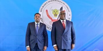 Somali Ambassador to Congo Presents Credentials to President Félix Tshisekedi